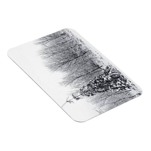 scheiding met zekerheid magneet (Rechterzijde)