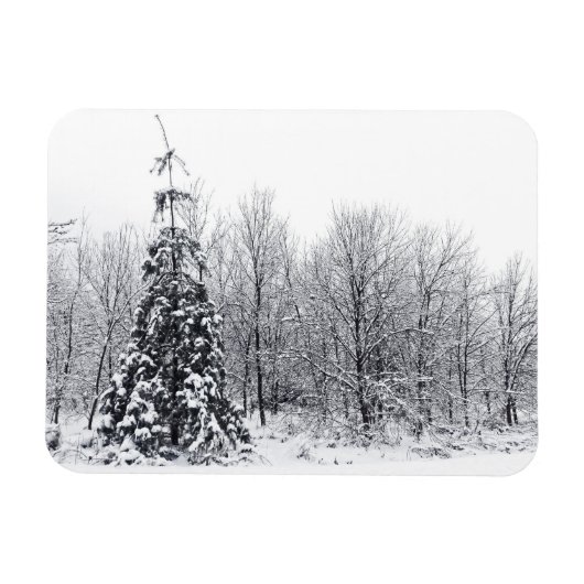 scheiding met zekerheid magneet (Horizontaal)