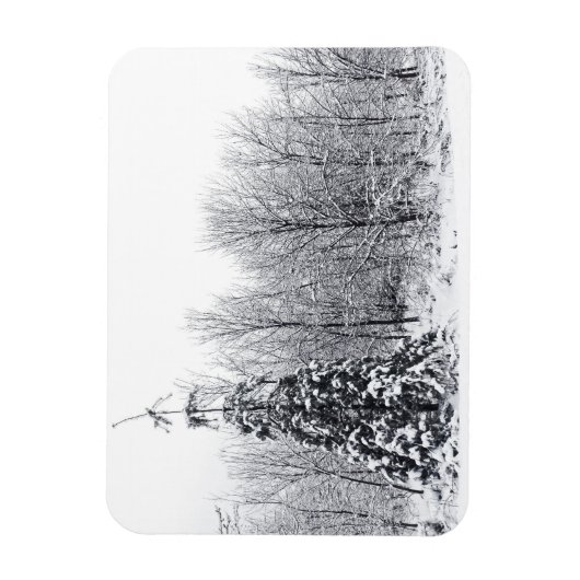 scheiding met zekerheid magneet (Verticaal)