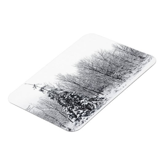 scheiding met zekerheid magneet (Linkerzijde)