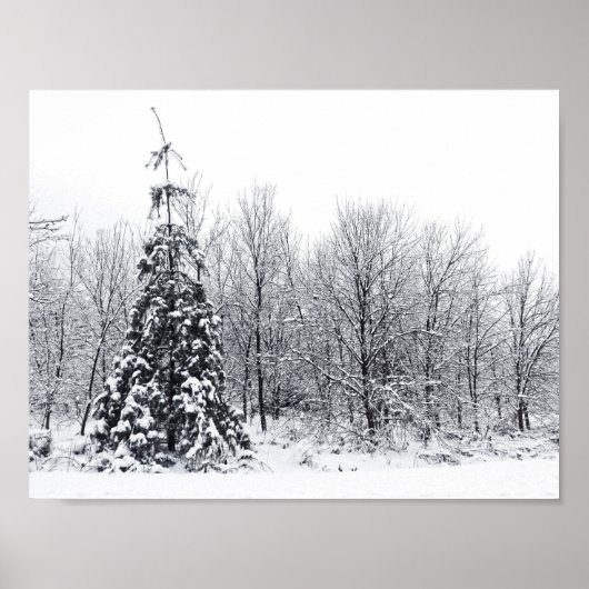 scheiding met zekerheid poster (Voorkant)