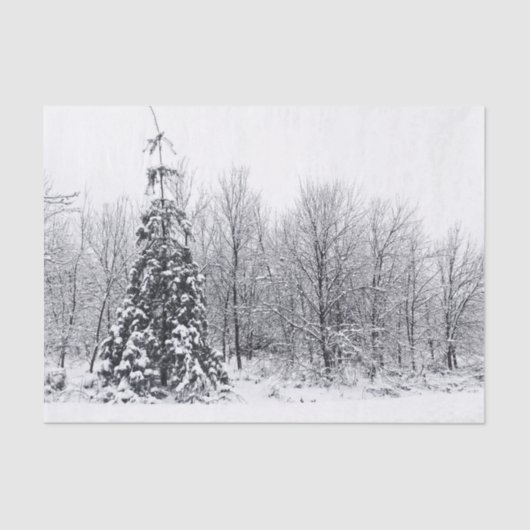 scheiding met zekerheid tissuepapier (Voorkant)