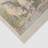 Scheiding van de fok- en ephemera tissuepapier (Detail)