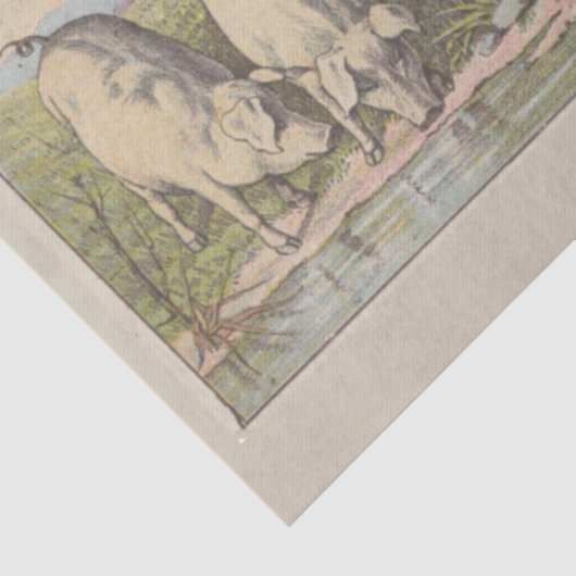 Scheiding van de fok- en ephemera tissuepapier (Detail)