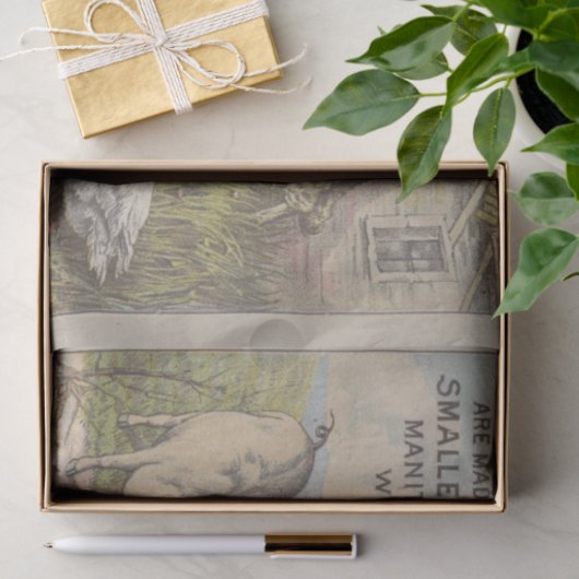 Scheiding van de fok- en ephemera tissuepapier (Geschenk)