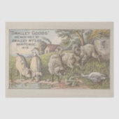 Scheiding van de fok- en ephemera tissuepapier (Voorkant)