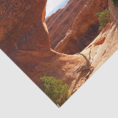 Scheiding van de partitie in het nationaal park Ar Tissuepapier (Detail)