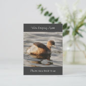 Scheidingskaarten en gestrande relaties briefkaart (Staand voorkant)