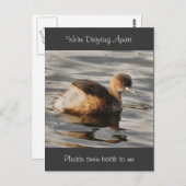 Scheidingskaarten en gestrande relaties briefkaart (Voorkant / Achterkant)