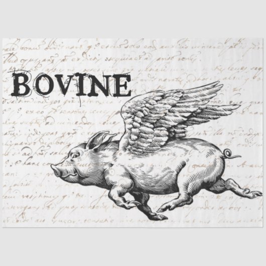 Scheidingspapier voor vliegende varkens tissuepapier (Voorkant)