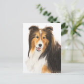 Scheldassen of schilderijen van Shetland Sheepdog Briefkaart (Staand voorkant)