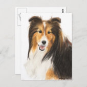 Scheldassen of schilderijen van Shetland Sheepdog Briefkaart (Voorkant / Achterkant)