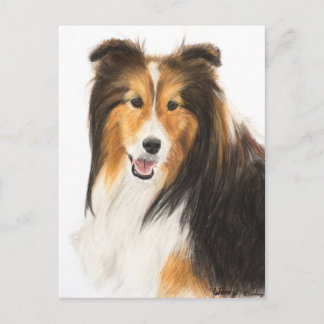 Scheldassen of schilderijen van Shetland Sheepdog Briefkaart