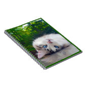 Schele kat notitieboek (Rechterzijde)