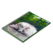 Schele kat notitieboek (Linkerzijde)