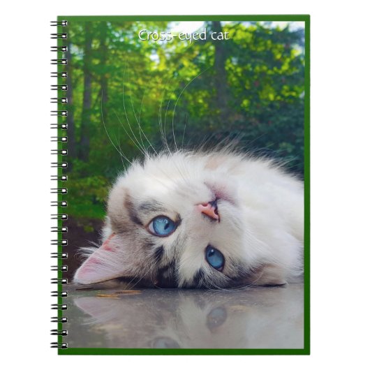 Schele kat notitieboek (Voorkant)