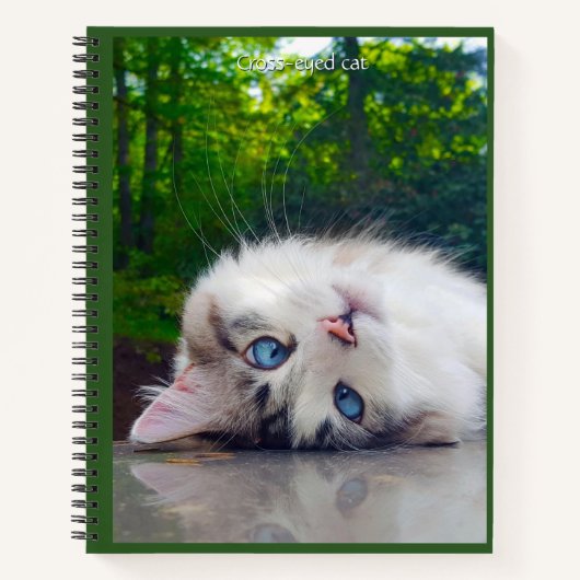 Schele kat notitieboek (Voorkant)