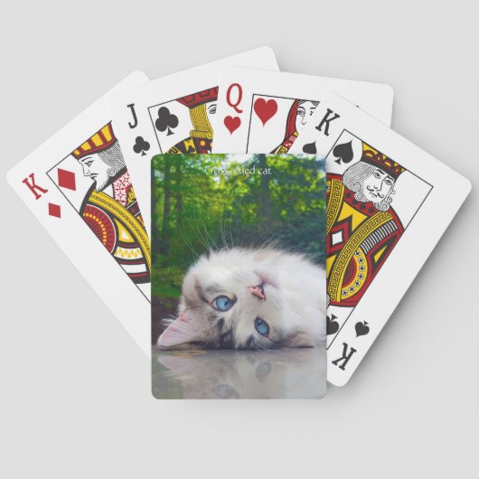 Schele kat pokerkaarten (Achterkant)