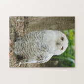 Schele Oog Uil Roofvogel Legpuzzel (Horizontaal)