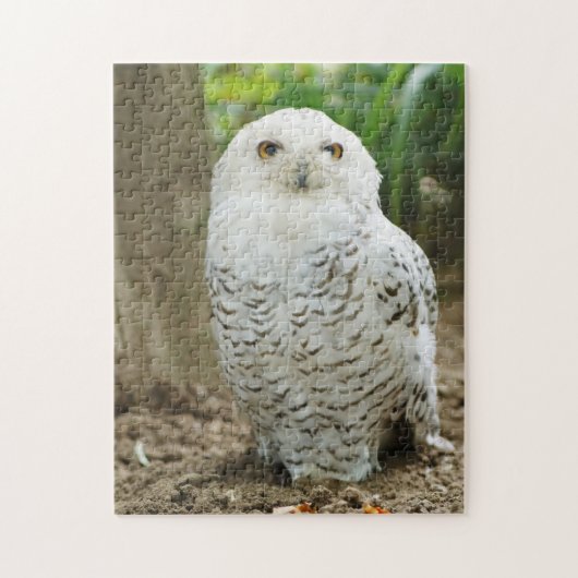 Schele Oog Uil Roofvogel Legpuzzel (Verticaal)
