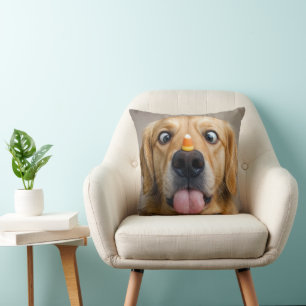 Schelende Golden Retriever Met Candy Corn Kussen