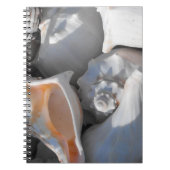 Schelp Close-up Notitieboek (Voorkant)