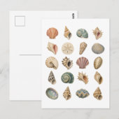 Schelp Collage Briefkaart (Voorkant / Achterkant)