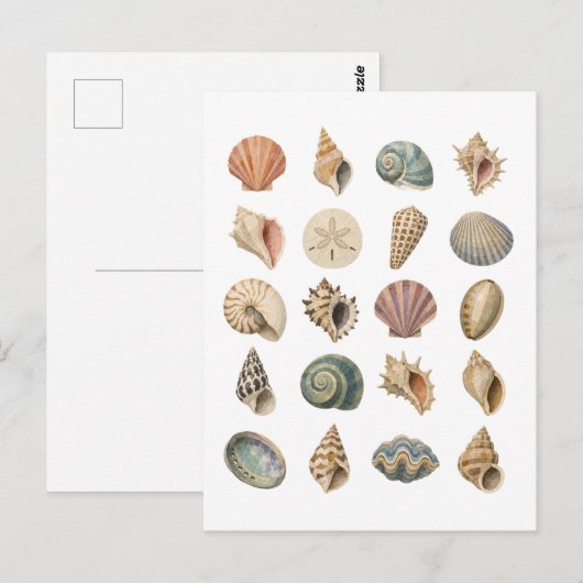 Schelp Collage Briefkaart (Voorkant / Achterkant)