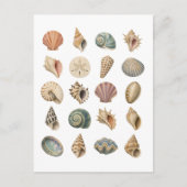 Schelp Collage Briefkaart (Voorkant)