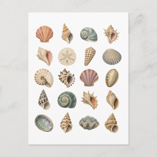 Schelp Collage Briefkaart (Voorkant)