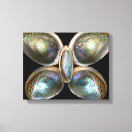 Schelp - Conchologie - Goddelijke Parelglans Canvas Afdruk (Voorkant)
