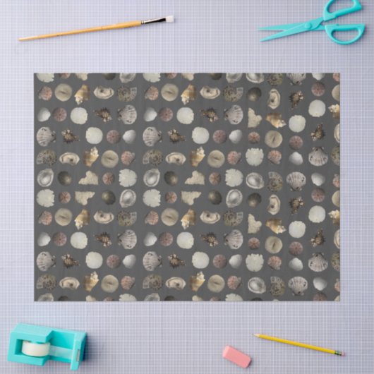 Schelp Extravaganza Tissuepapier (Craft)