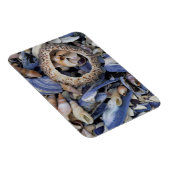 Schelp, Kaapstad, Westkaap Magneet (Rechterzijde)