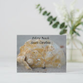 Schelp op het strand briefkaart (Staand voorkant)