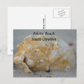 Schelp op het strand briefkaart (Voorkant / Achterkant)