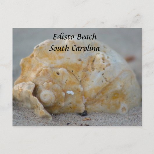 Schelp op het strand briefkaart (Voorkant)