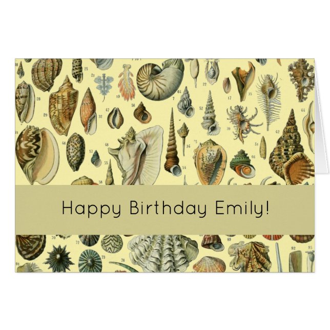 schelp schelp schelp schelp schelp elegante klassi (Voorkant Horizontaal)