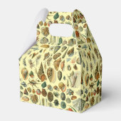 schelp schelp schelp schelp schelp elegante klassi bedankdoosjes (Achterkant)