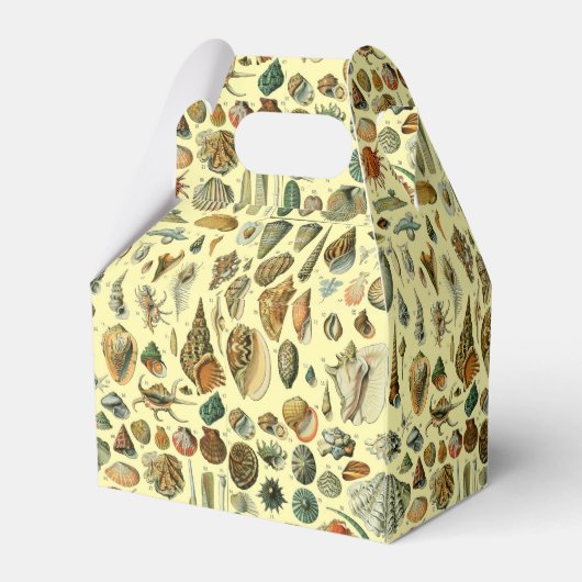 schelp schelp schelp schelp schelp elegante klassi bedankdoosjes (Achterkant)