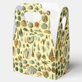 schelp schelp schelp schelp schelp elegante klassi bedankdoosjes (Geopend)