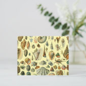 schelp schelp schelp schelp schelp elegante klassi briefkaart (Staand voorkant)