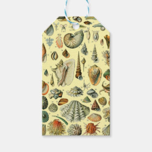 schelp schelp schelp schelp schelp elegante klassi cadeaulabel