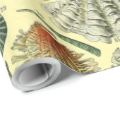 schelp schelp schelp schelp schelp elegante klassi cadeaupapier (Rol Hoek)