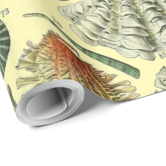 schelp schelp schelp schelp schelp elegante klassi cadeaupapier (Rol Hoek)