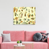 schelp schelp schelp schelp schelp elegante klassi canvas afdruk (Insitu (Woonkamer))
