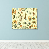 schelp schelp schelp schelp schelp elegante klassi canvas afdruk (Insitu (Houten vloer))