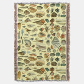 schelp schelp schelp schelp schelp elegante klassi deken (Voorkant Verticaal)