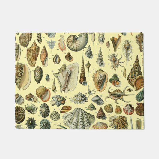 schelp schelp schelp schelp schelp elegante klassi deurmat (Voorkant)