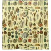 schelp schelp schelp schelp schelp elegante klassi douchegordijn (Voorkant)