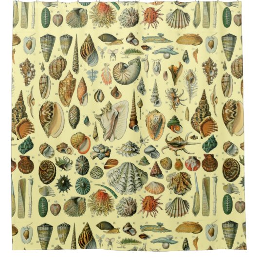 schelp schelp schelp schelp schelp elegante klassi douchegordijn (Voorkant)